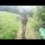 Mountain of Hell 2013 - Headcam edit - lots of the epic final walkers path descent Mountain of Hell 2013 - Headcam edit - lots of the epic final walkers path descent